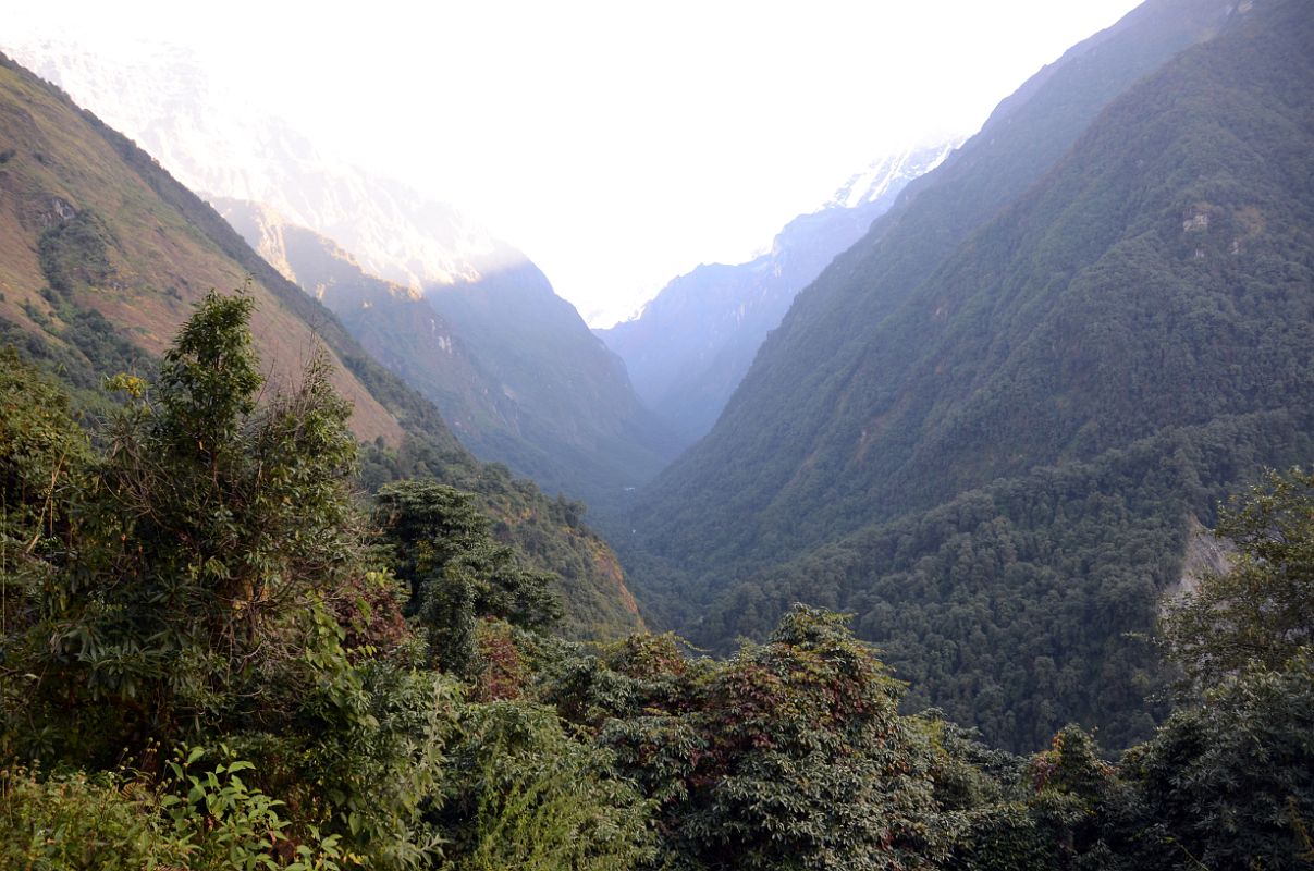 14 Looking Ahead To The Trail To The Annapurna Sanctuary From Between Sinuwa And Bamboo 